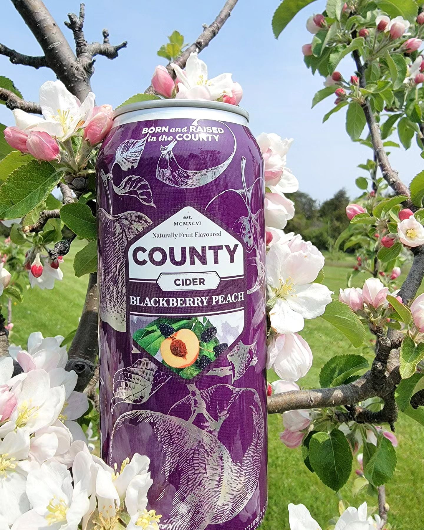 Blackberry Peach Cider Now available in cans and the LCBO! The