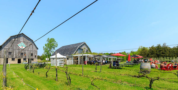 🍏 May at County Cider Company: Cheers to Spring and Moms! 🌸