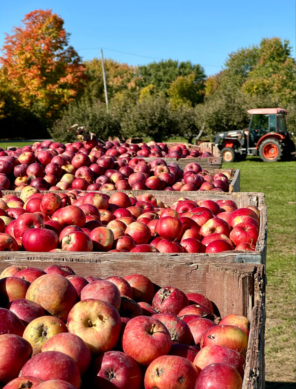 🍎 Fall Guide to County Cider 🍎