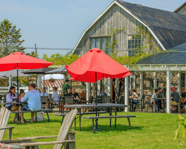 Live Music Every Tuesday at County Cider This Summer